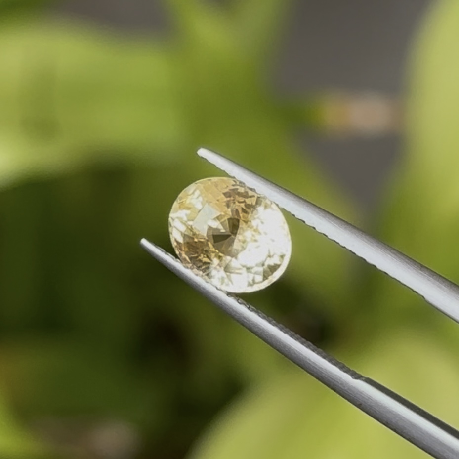 1.55ct Loop Clean Yellow Sapphire
