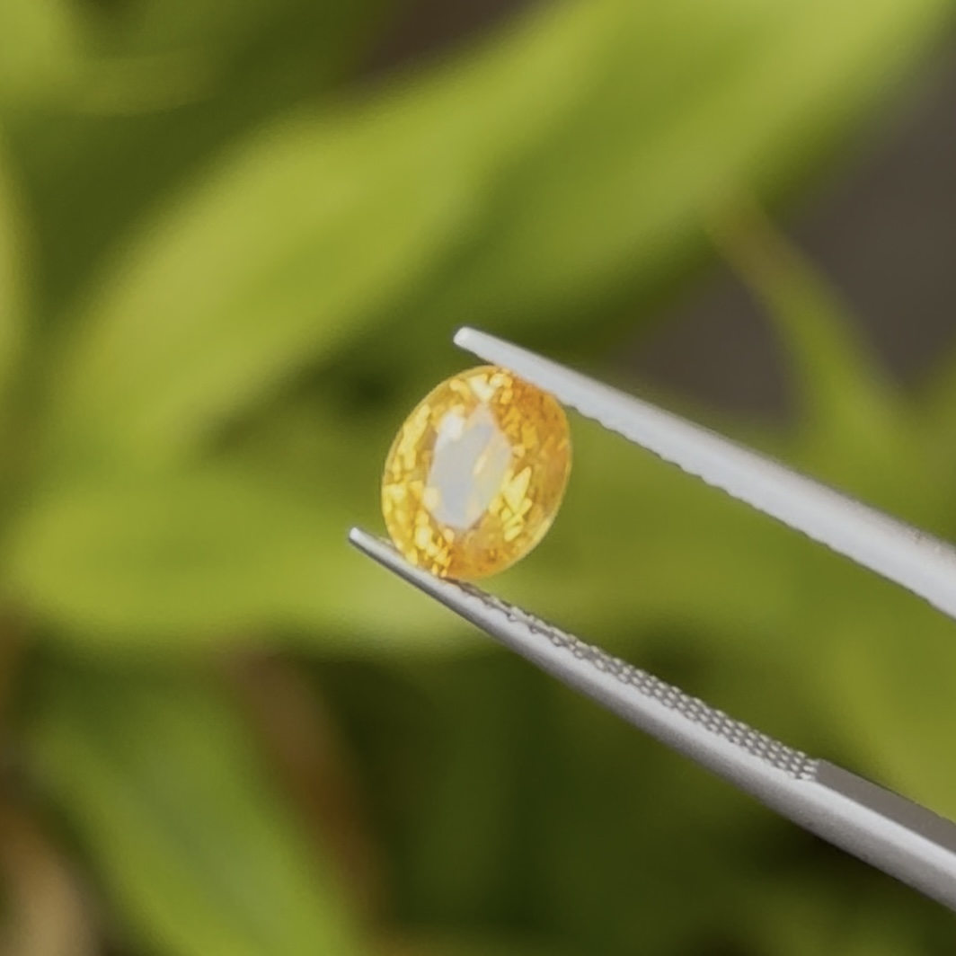 Golden Yellow Sapphire
